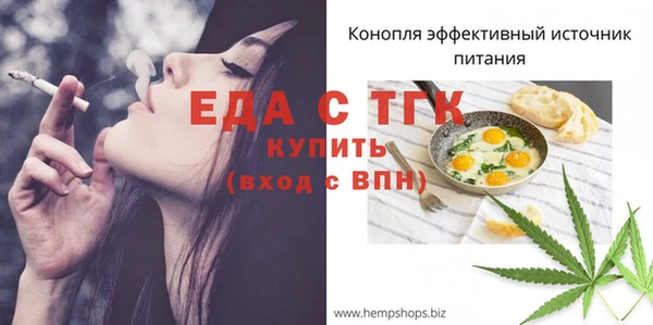 дживик Бородино