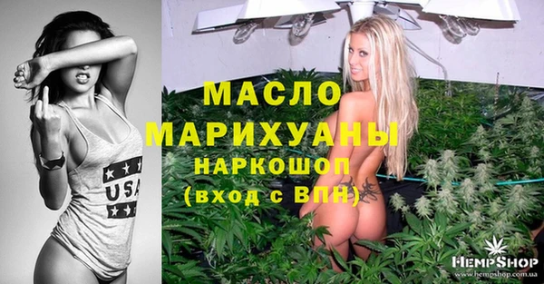 дживик Бородино