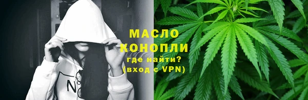 дживик Бородино