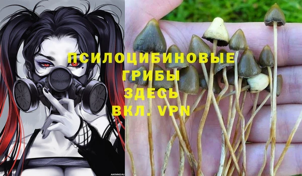 2c-b Бронницы