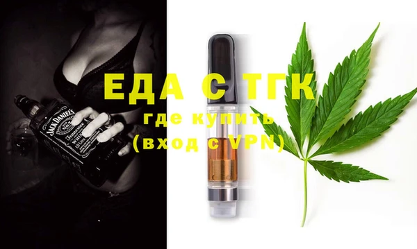 дживик Бородино