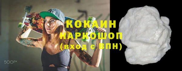 дживик Бородино
