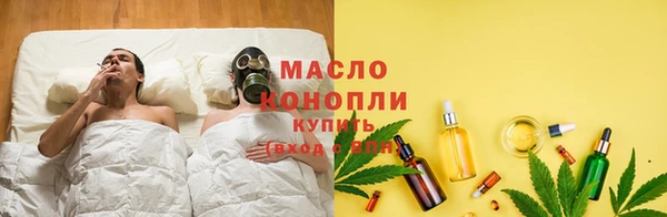 дживик Бородино