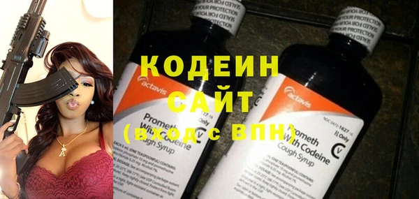 дживик Бородино