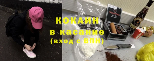 дживик Бородино