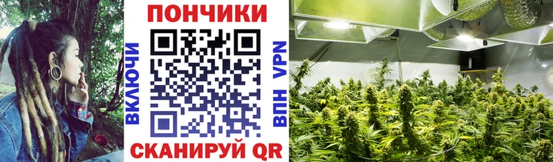 Конопля семена Купить Красный Холм